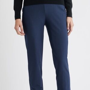 Eileen Fisher  NEW with tag slim ankle pant in ocean blue SIZE MEDIUM